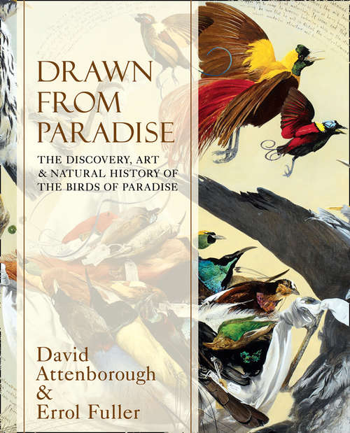 Book cover of Drawn From Paradise: The Discovery, Art And Natural History Of The Birds Of Paradise (ePub edition)