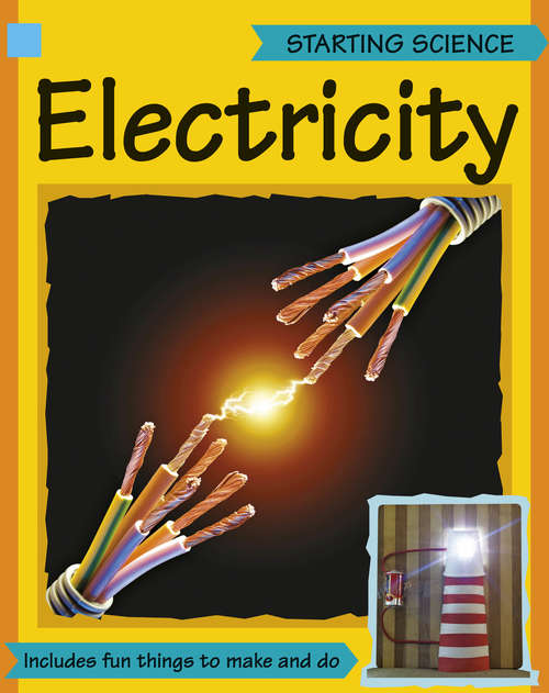 Book cover of Electricity: Electricity Amazing Science: Electricity (PDF) (Project Science)