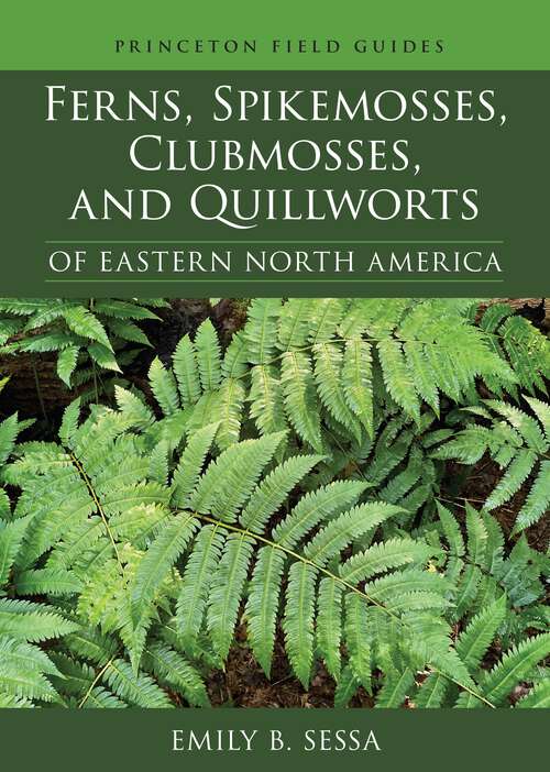 Book cover of Ferns, Spikemosses, Clubmosses, and Quillworts of Eastern North America (Princeton Field Guides #150)