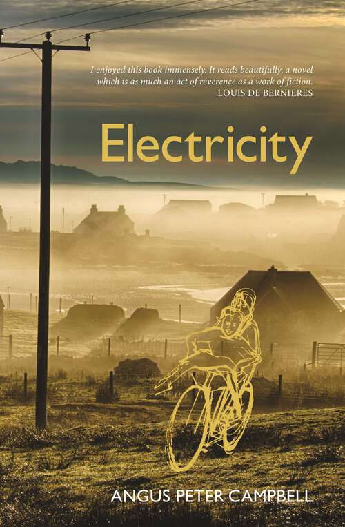 Book cover of Electricity