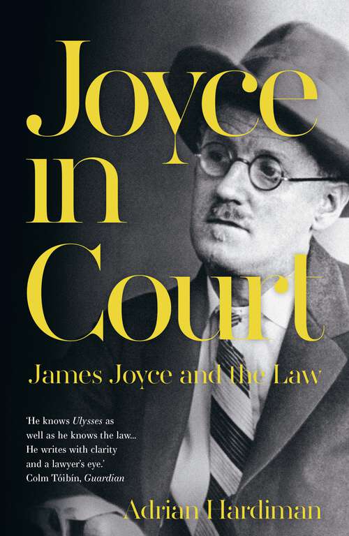 Book cover of Joyce in Court