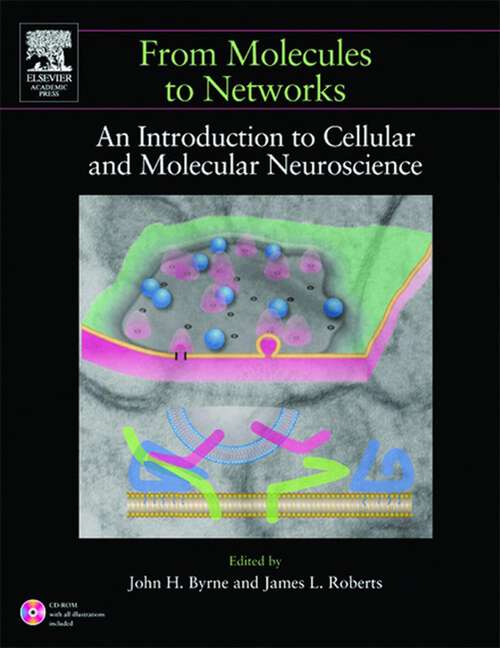 Book cover of From Molecules to Networks: An Introduction to Cellular and Molecular Neuroscience