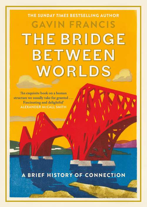 Book cover of The Bridge Between Worlds: A Brief History of Connection (Main)