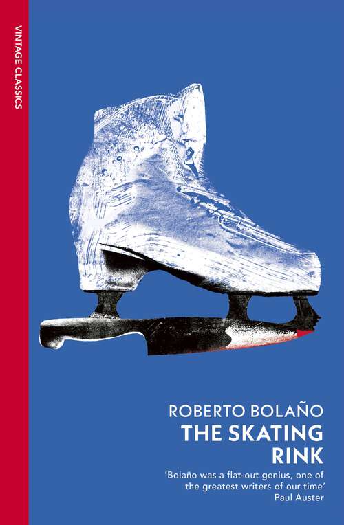 Book cover of The Skating Rink