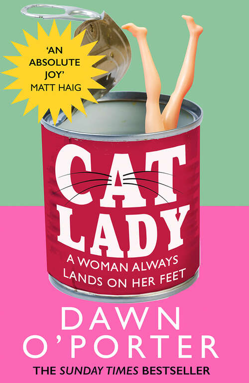 Book cover of Cat Lady