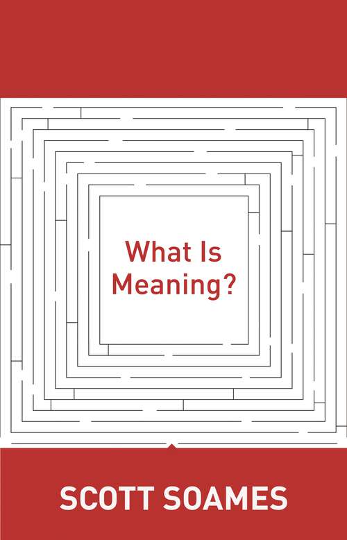 Book cover of What Is Meaning?