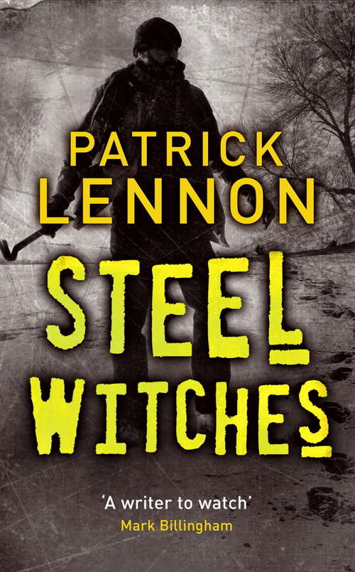 Book cover of Steel Witches