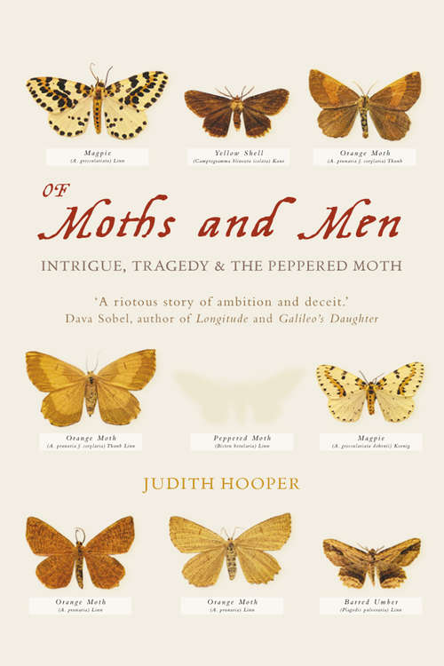 Book cover of Of Moths and Men (Text Only): Intrigue, Tragedy And The Peppered Moth (text Only) (ePub edition)