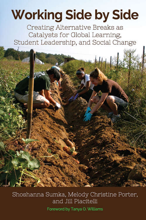 Book cover of Working Side by Side: Creating Alternative Breaks as Catalysts for Global Learning, Student Leadership, and Social Change