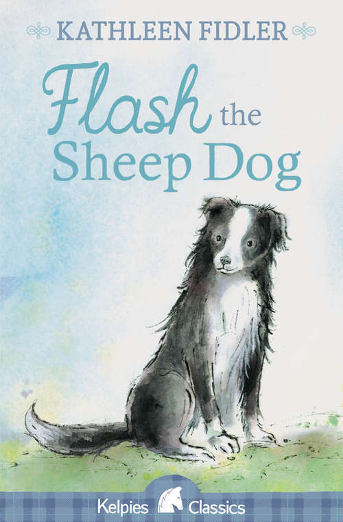 Book cover of Flash the Sheep Dog (4) (Kelpies Ser.)