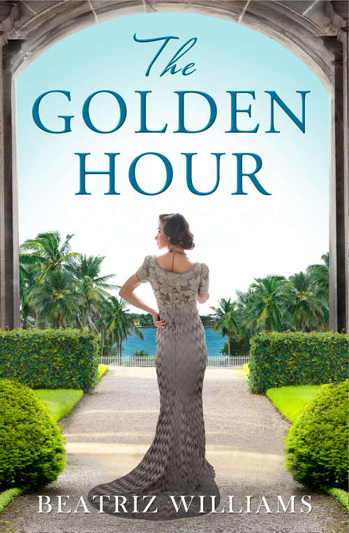 Book cover of The Golden Hour: A Novel