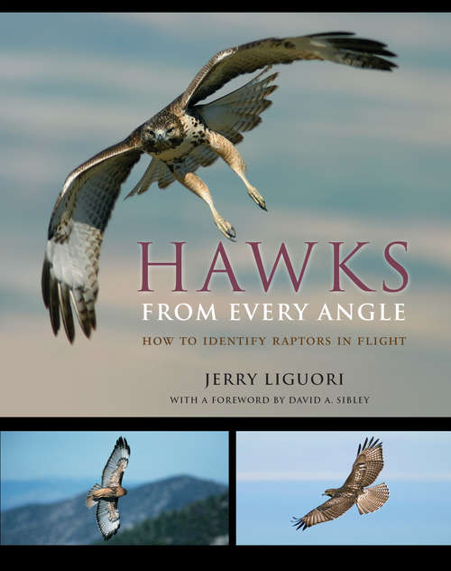 Book cover of Hawks from Every Angle: How to Identify Raptors In Flight