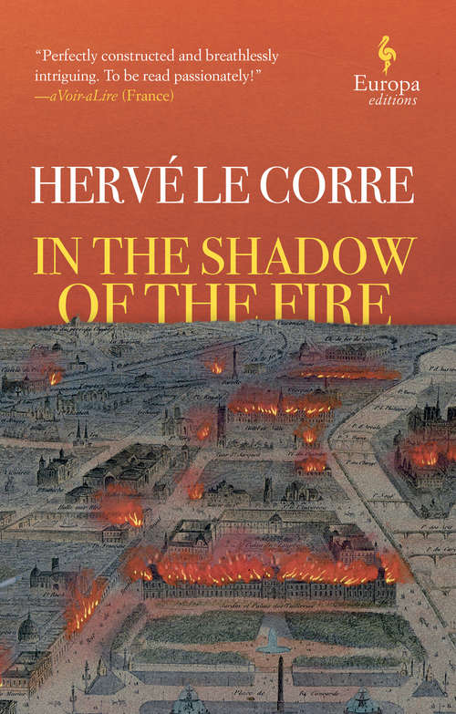 Book cover of In the Shadow of the Fire