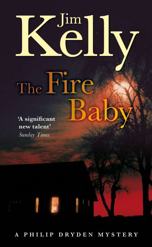 Book cover of The Fire Baby (Isis Series)