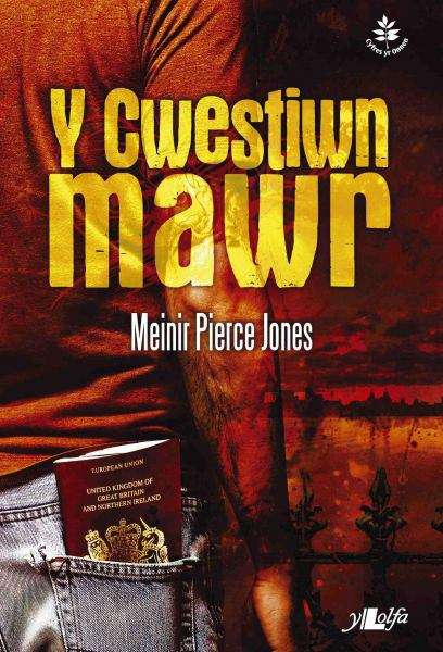Book cover of Y Cwestiwn Mawr (Cyfres yr Onnen)