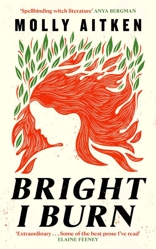 Book cover of Bright I Burn
