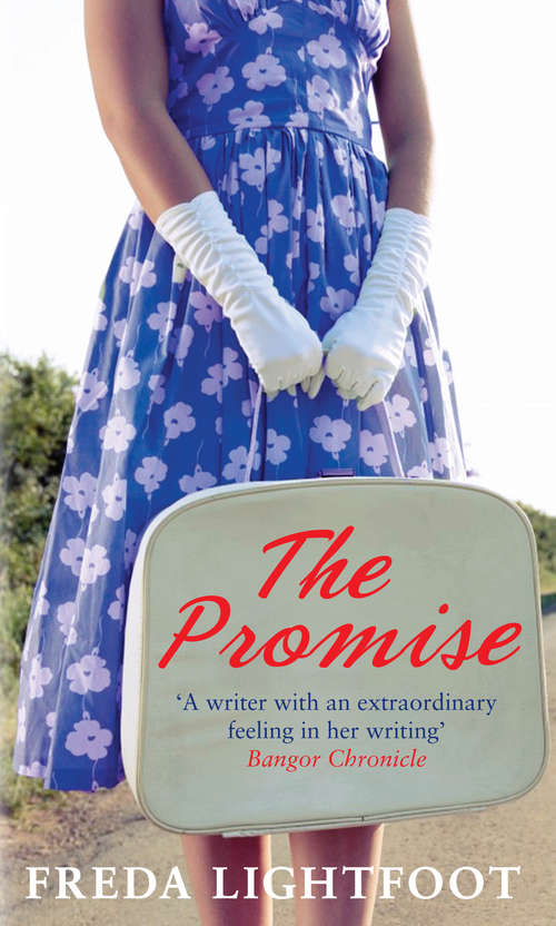 Book cover of The Promise