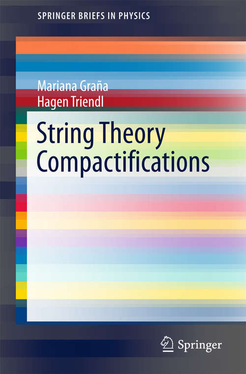Book cover of String Theory Compactifications (SpringerBriefs in Physics)