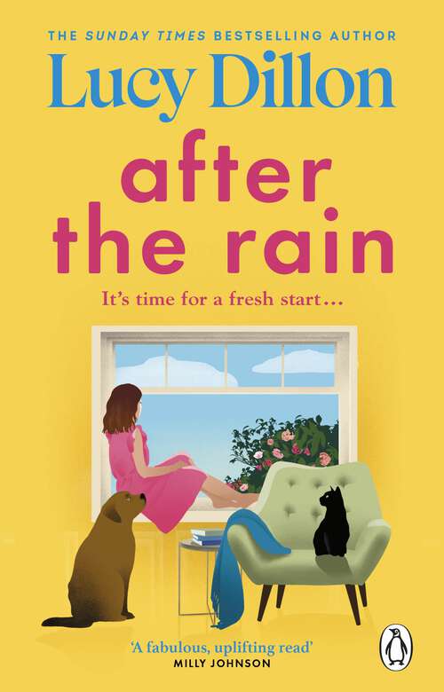 Book cover of After the Rain: The incredible and uplifting new novel from the Sunday Times bestselling author