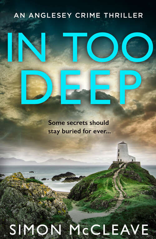 Book cover of In Too Deep (The Anglesey Series #2)