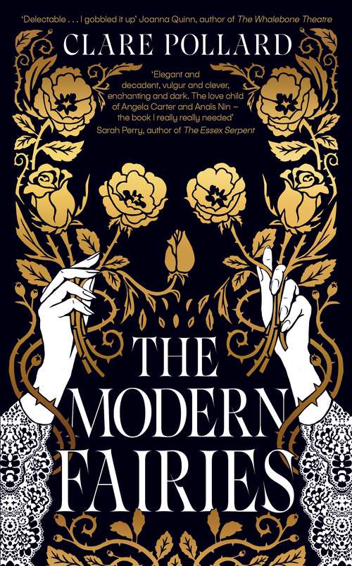 Book cover of The Modern Fairies: ‘The book I really needed’ Sarah Perry, author of The Essex Serpent