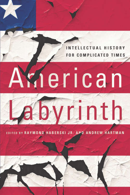 Book cover of American Labyrinth: Intellectual History for Complicated Times