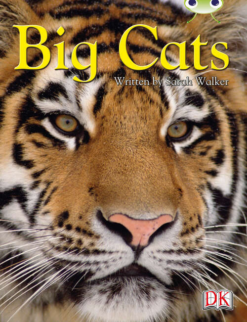 Book cover of Bug Club Independent Non Fiction Year 3 Brown B Big Cats (BUG CLUB)