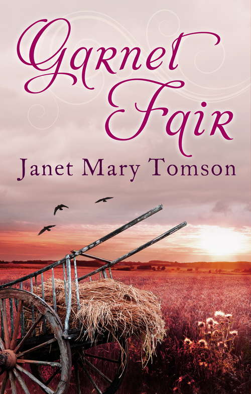 Book cover of Garnet Fair