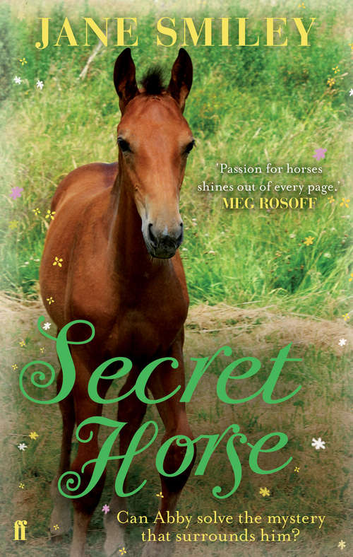 Book cover of Secret Horse (Main)