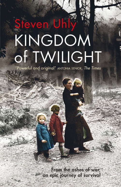 Book cover of Kingdom of Twilight