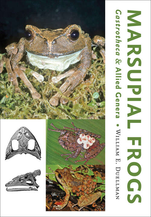 Book cover of Marsupial Frogs: <I>GastrothecaÃ‚Â </I>and Allied Genera (Occasional Papers: No. 84)