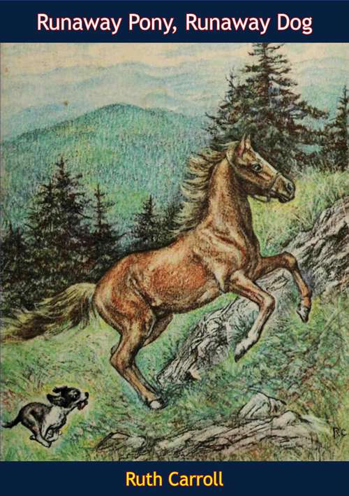 Book cover of Runaway Pony, Runaway Dog