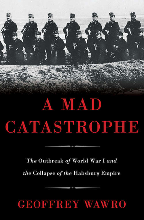 Book cover of A Mad Catastrophe: The Outbreak of World War I and the Collapse of the Habsburg Empire