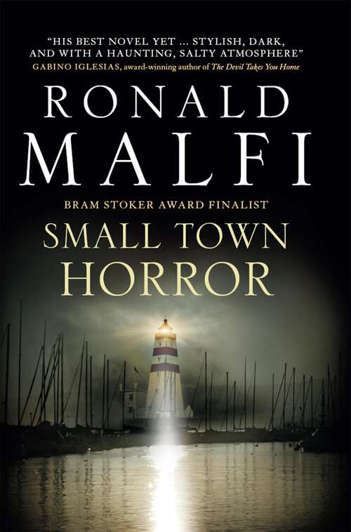 Book cover of Small Town Horror