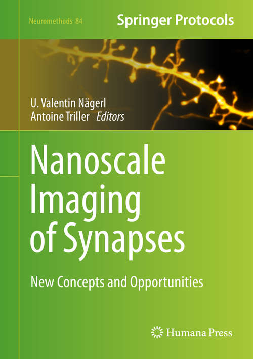 Book cover of Nanoscale Imaging of Synapses: New Concepts and Opportunities (2014) (Neuromethods #84)