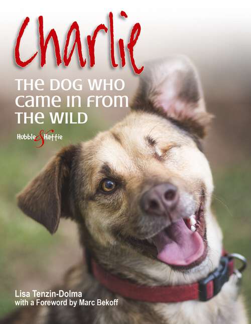 Book cover of Charlie: The dog who came in from the wild