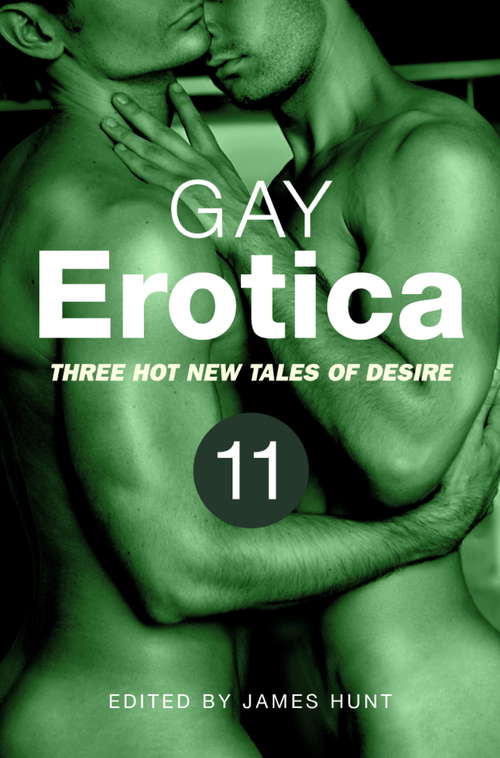 Book cover of Gay Erotica, Volume 11: Three great new stories (Gay Erotica #11)