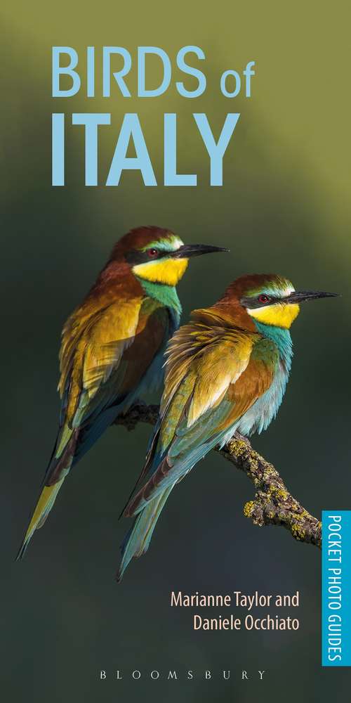 Book cover of Birds of Italy (Pocket Photo Guides)
