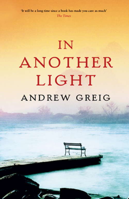 Book cover of In Another Light