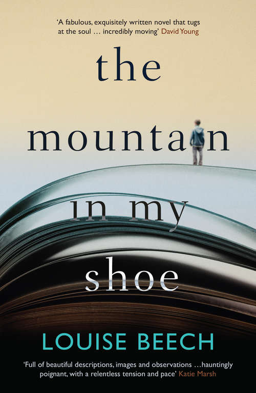 Book cover of The Mountain in my Shoe