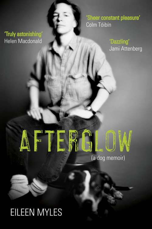 Book cover of Afterglow: A Dog Memoir (Main) (Books That Changed The World Ser.)