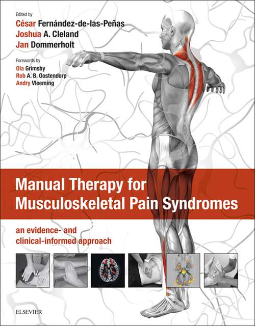 Book cover of Manual Therapy for Musculoskeletal Pain Syndromes: an evidence- and clinical-informed approach