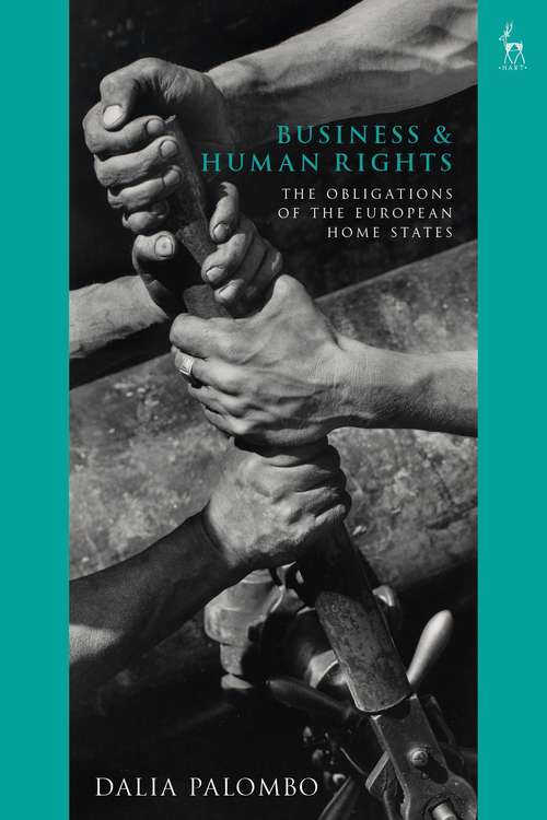 Book cover of Business and Human Rights: The Obligations of the European Home States