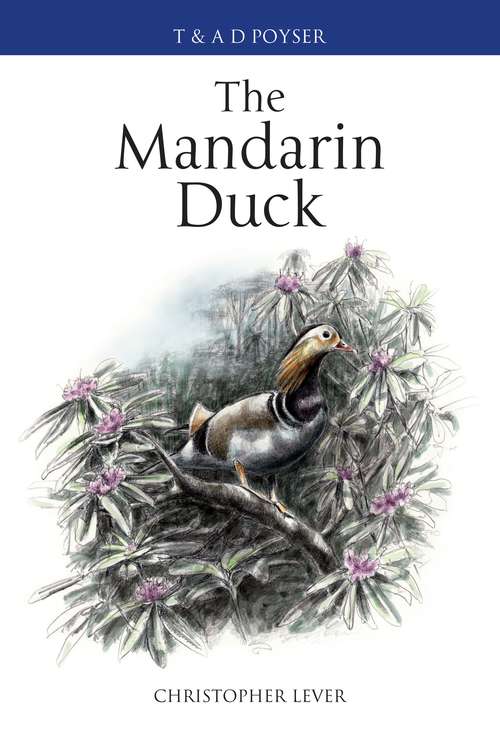 Book cover of The Mandarin Duck (Poyser Monographs #132)