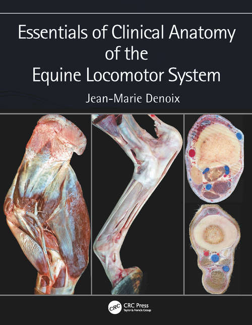 Book cover of Essentials of Clinical Anatomy of the Equine Locomotor System