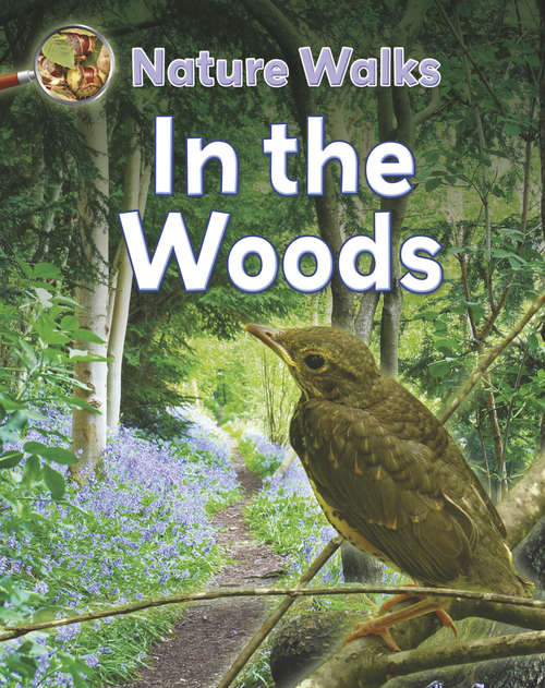 Book cover of In the Woods (Nature Walks #4)