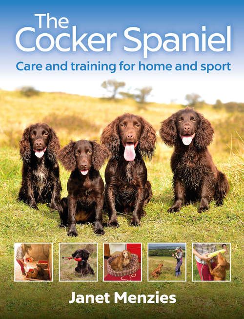 Book cover of The Cocker Spaniel: Care and Training for Home and Sport