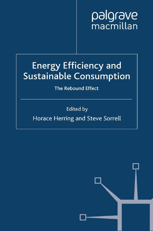 Book cover of Energy Efficiency and Sustainable Consumption: The Rebound Effect (2009) (Energy, Climate and the Environment)