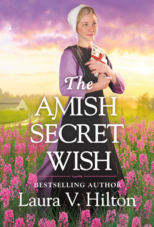Book cover of The Amish Secret Wish (Hidden Springs #3)
