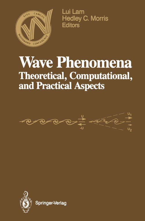 Book cover of Wave Phenomena: Theoretical, Computational, and Practical Aspects (1989) (Woodward Conference)